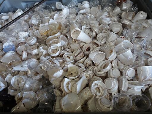 le_Parisien's tweet image. ⛔ L’interdiction des gobelets jetables contenant du plastique repoussée à 2030

➡️ l.leparisien.fr/i4Xw