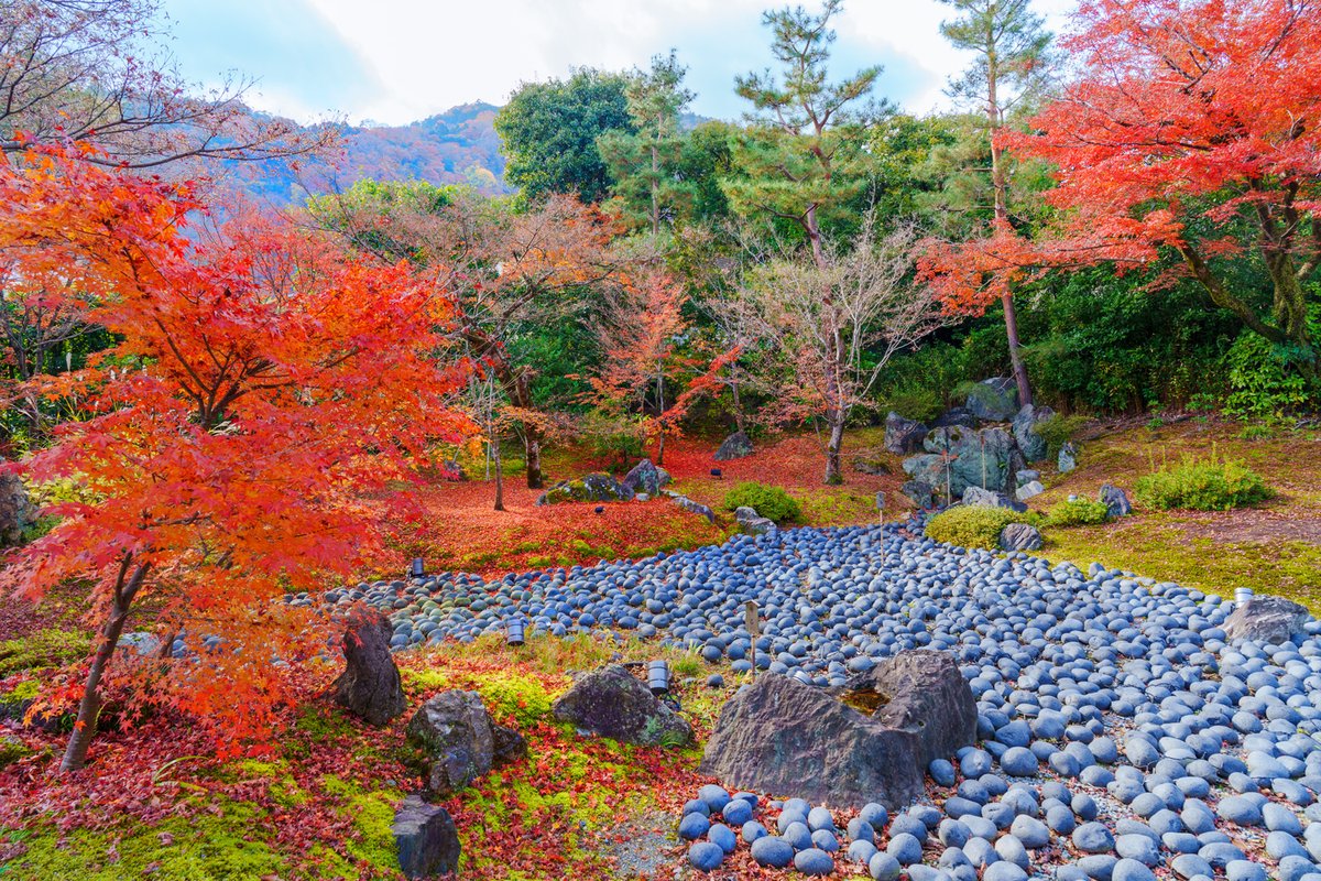 宝厳院の紅葉 普段は非公開ですが春と秋に公開されます。 360度紅葉