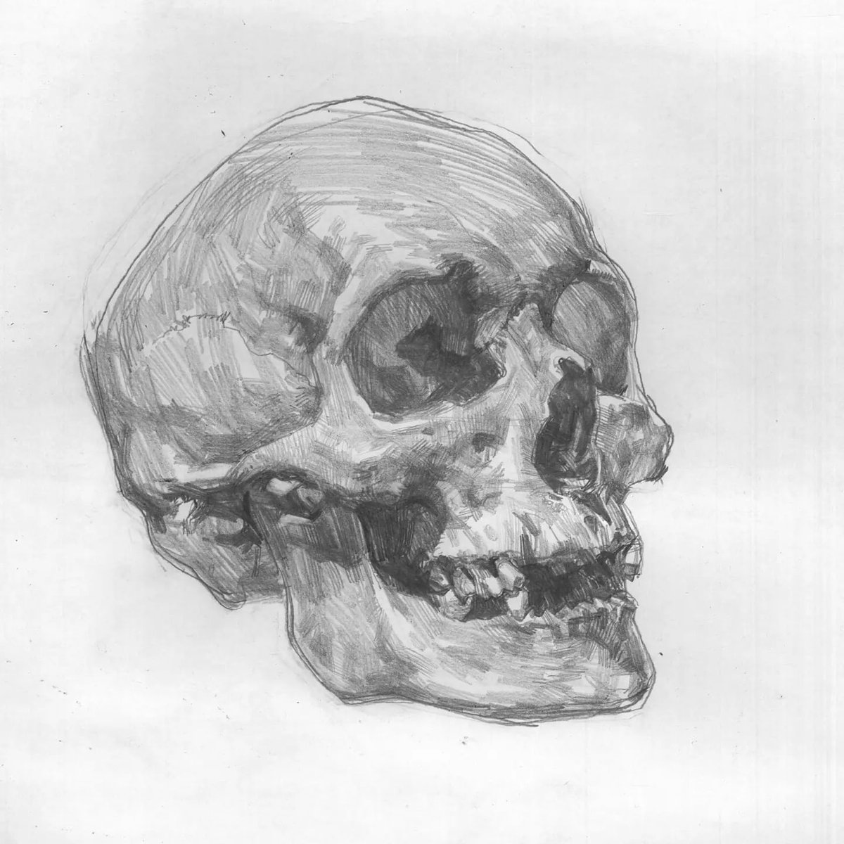 mehran nasher tweet media