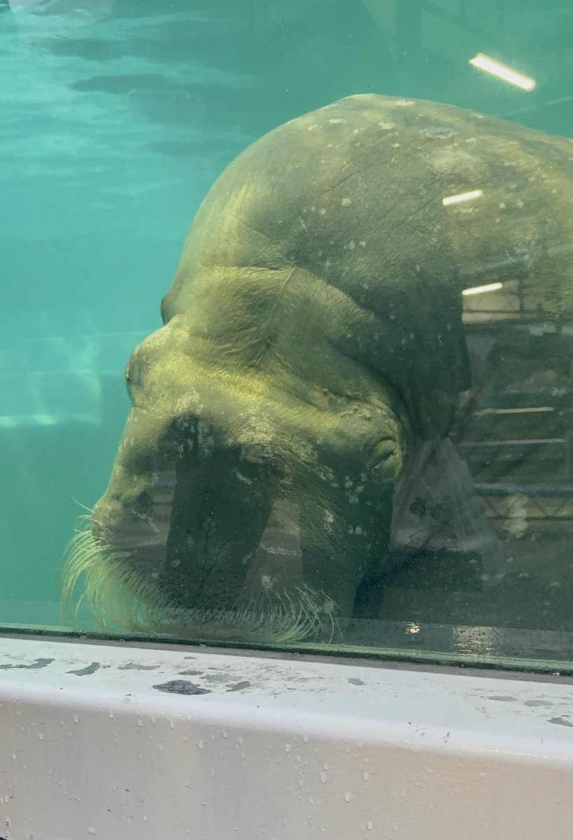 𝕒𝕟 tweet media