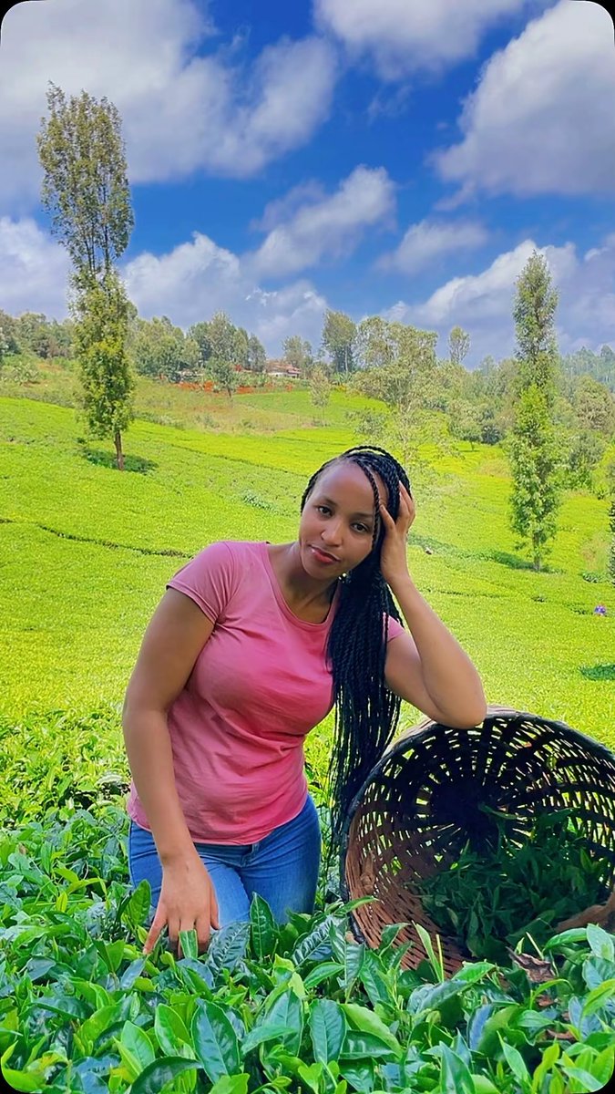 Muthoni Njakwe tweet media