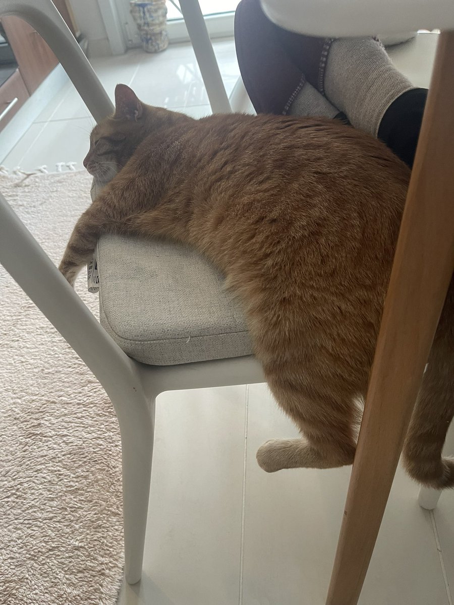 Huzur bu işte 😍🧿