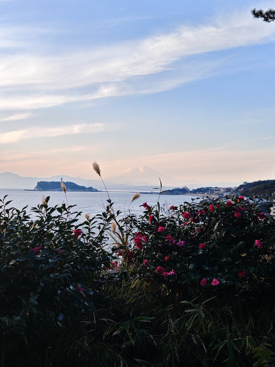 Pommes de terre. This morning, as I was ingesting my pharmaceuticals, I  noticed a bag of potatoes on the counter. It didn't say it was potatoes,  but I could see them. What, image size:900x1200