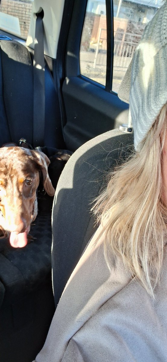 Heather Wearden tweet media