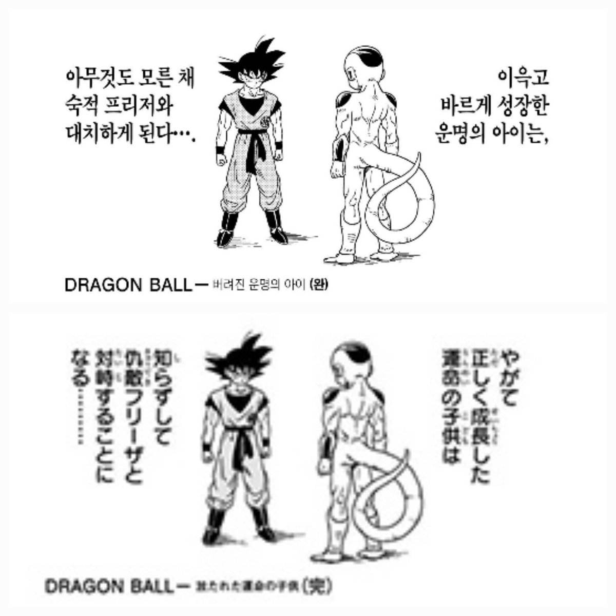 조선생이 생전 마지막으로 그린 드래곤볼 원고도 손오공을 '올바르게 성장한 운명의 아이'로 표현하면서 끝남
오공에게 윤리관이 모호하다거나 하는 묘사는 공식에서 한번도 된 적이 없고 얘는 처음부터 끝까지 선인임