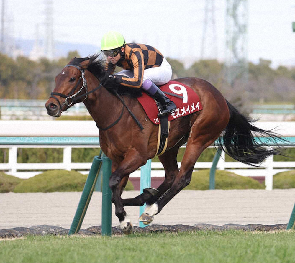 ぴょん (@chan_pyon0_0) / Posts / X