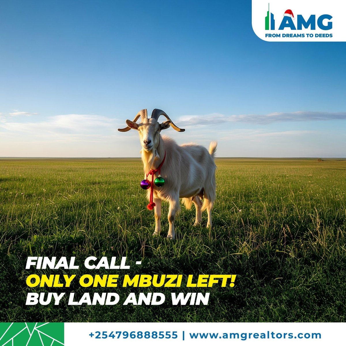 It’s the end of the year — don’t miss the last chance to grab the last mbuzi available! 🐐

Invest Kshs. 500,000+ with AMG today and secure yours before they’re gone.
Call/WhatsApp: +254 796 888 555

#NoStoriesJustTitles #AMGRealtors #13YearsOfTurningDreamsToDeeds