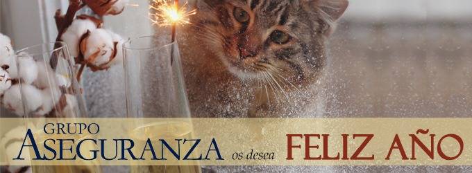 Ya arrancado el #AñoNuevo os deseamos salud, estabilidad y nuevos retos compartidos. #Gracias por la confianza depositada en nosotros. Seguiremos trabajando con rigor y compromiso para acompañaros también en el próximo año. ¡#Feliz2026!
#seguros