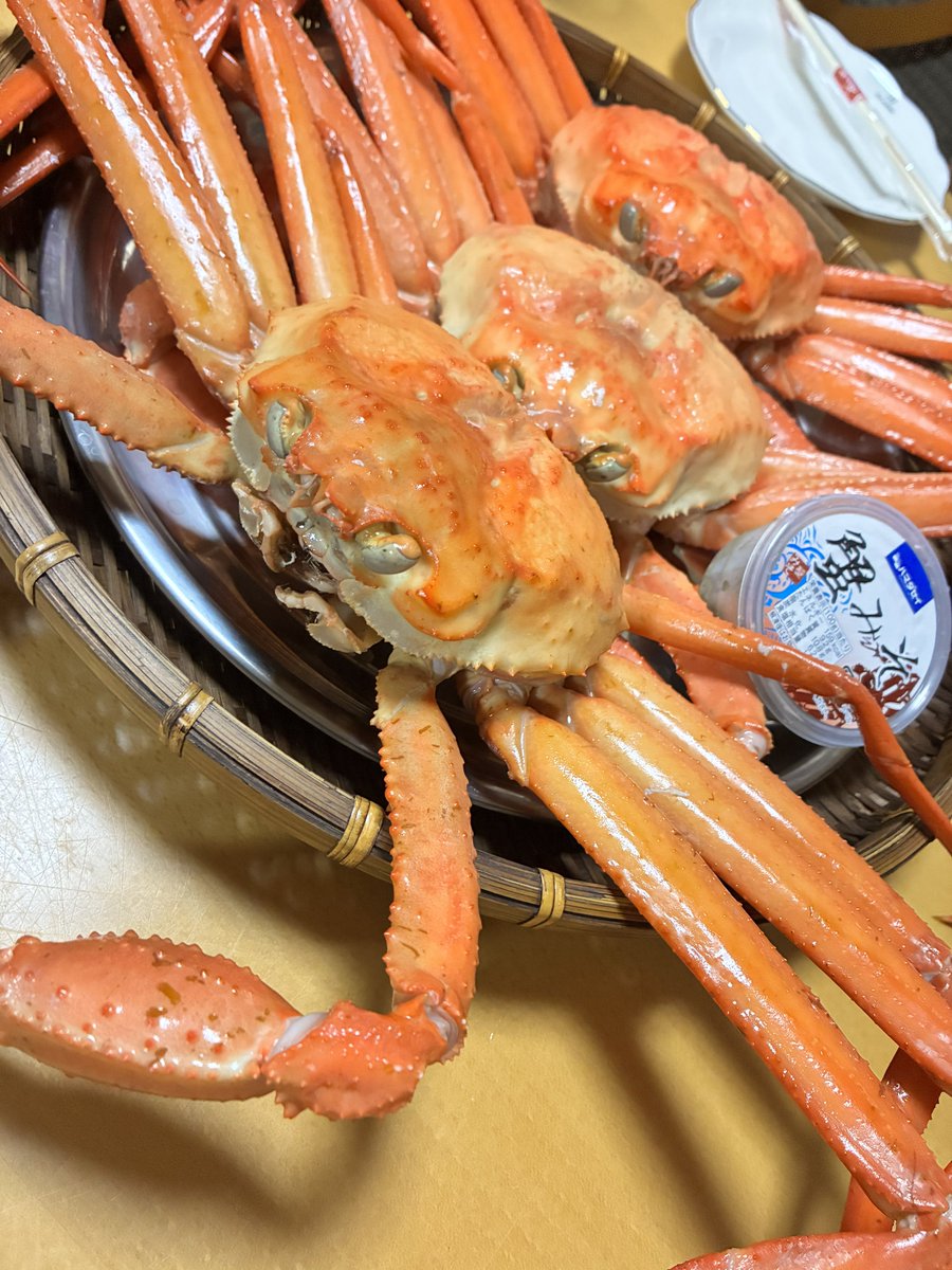 わぁぁぁい🦀🦀🦀🦀🦀🦀🦀