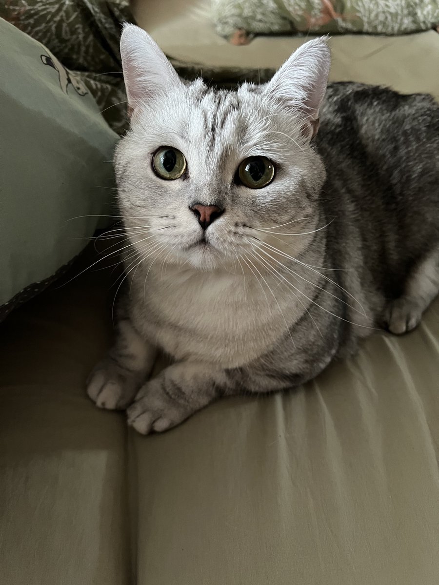 Друзі, ще 11 тисяч — і буде 300к на бус! А там ще трошки лишиться до закриття повної суми. Давайте добʼємо у цьому році? Дійсно ж небагато лишається

send.monobank.ua/jar/312Nt1AMpF