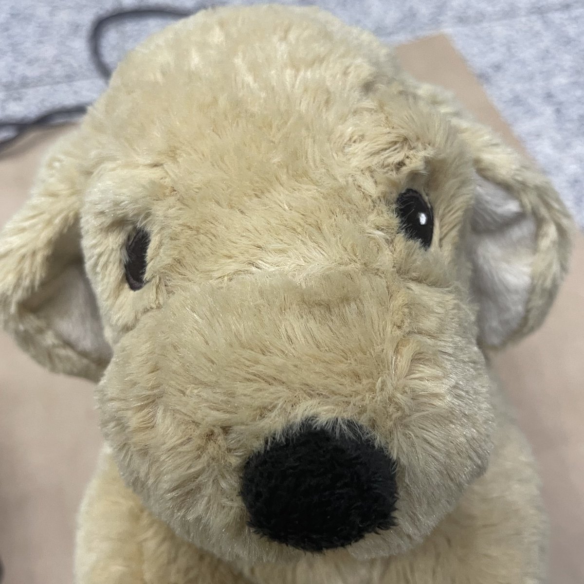 아 진짜 웃겨 스테이들이 댕모 불량 교환하러 오니까 팬매님들

👤 스테이들 내장이 터진 강아지나 입이 없는 강아지가 아니면 못생긴 강아지도 다 사랑해주실게요~
👤 원래 강아지의 각자 개성이 다 있는 거예요 사랑으로 보듬어주세요
👤 강아지 중에 가장 귀여운 게 똥강아지예요~
👤 우리 집에