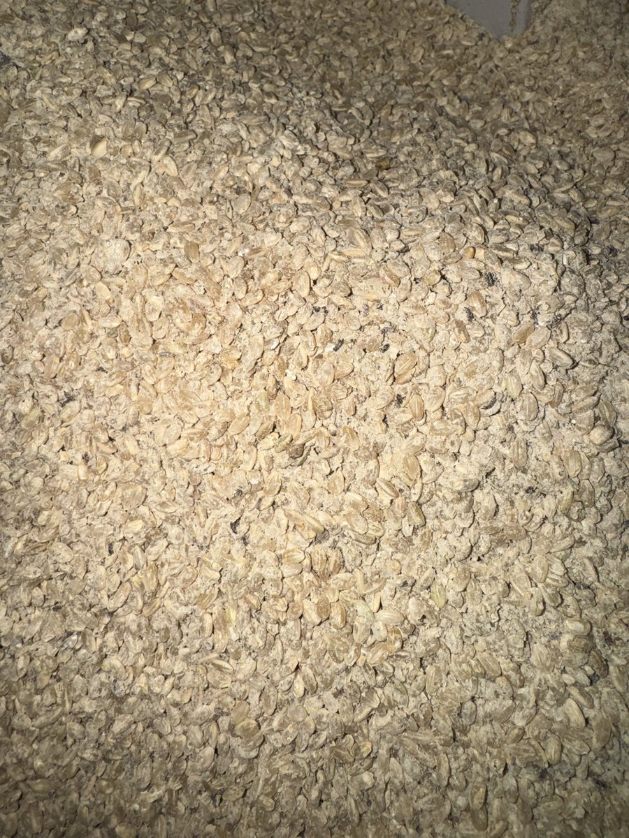 虫食い米、クズ米はコイン精米所へ入れないでください🙏