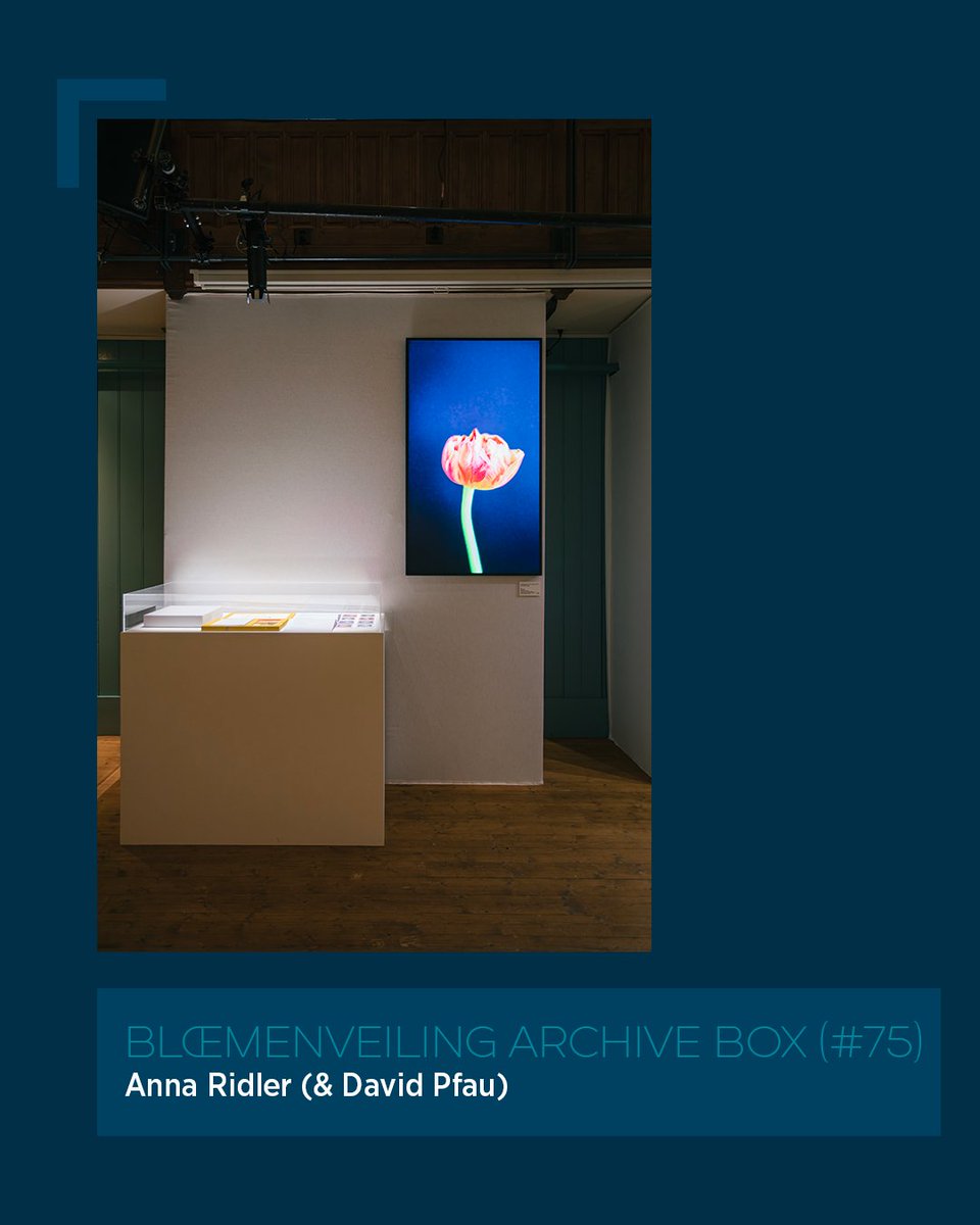 arabbankCH's tweet image. @annaridler &amp;amp; David Pfau, "Bloemenveiling Archive Box (#75)" 🌷

@soficrespo91, "Bridgeoporus Nobilissimus" 🧬🍄

@tylerxhobbs, "Day Garden n°22" 🌿

A defining chapter for the collection. ✨

Shout out to the curators behind some of these pieces @NinaRoehrs, @miminguyenmimi,…
