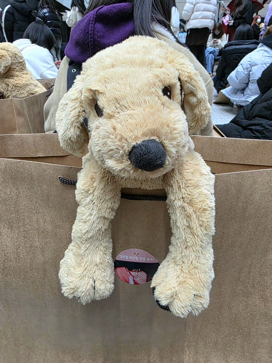 25살 먹은 남자아이 머릿속에서 나온 생각이 어떻게 
>스테이가 댕모 들고 응원해줫으면해서 700명한테 강쥐인형 나눠주기< 일수가잇지?  진심 존나 깜찍하다 
 
그럼 대재전때 사녹팬석화면 띄우면 우리만 인형들고 잇는거임? 아진짜웃곀ㅋㅋㅋㅋㅋㅋㅜㅜ