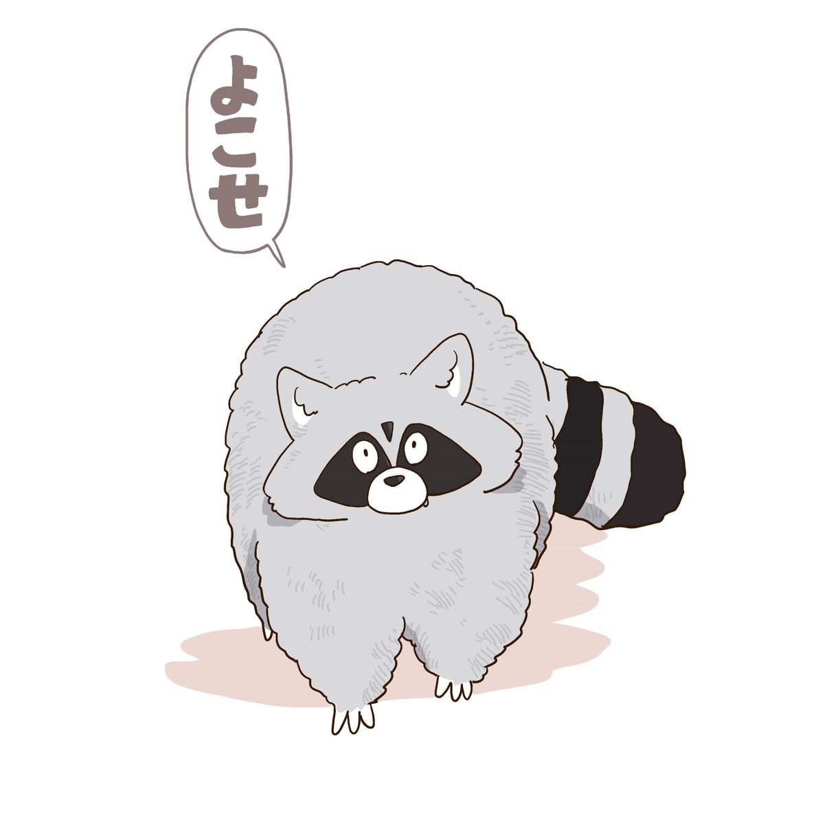 食べ物をねだるとき
←たぬき  アライグマ→ 