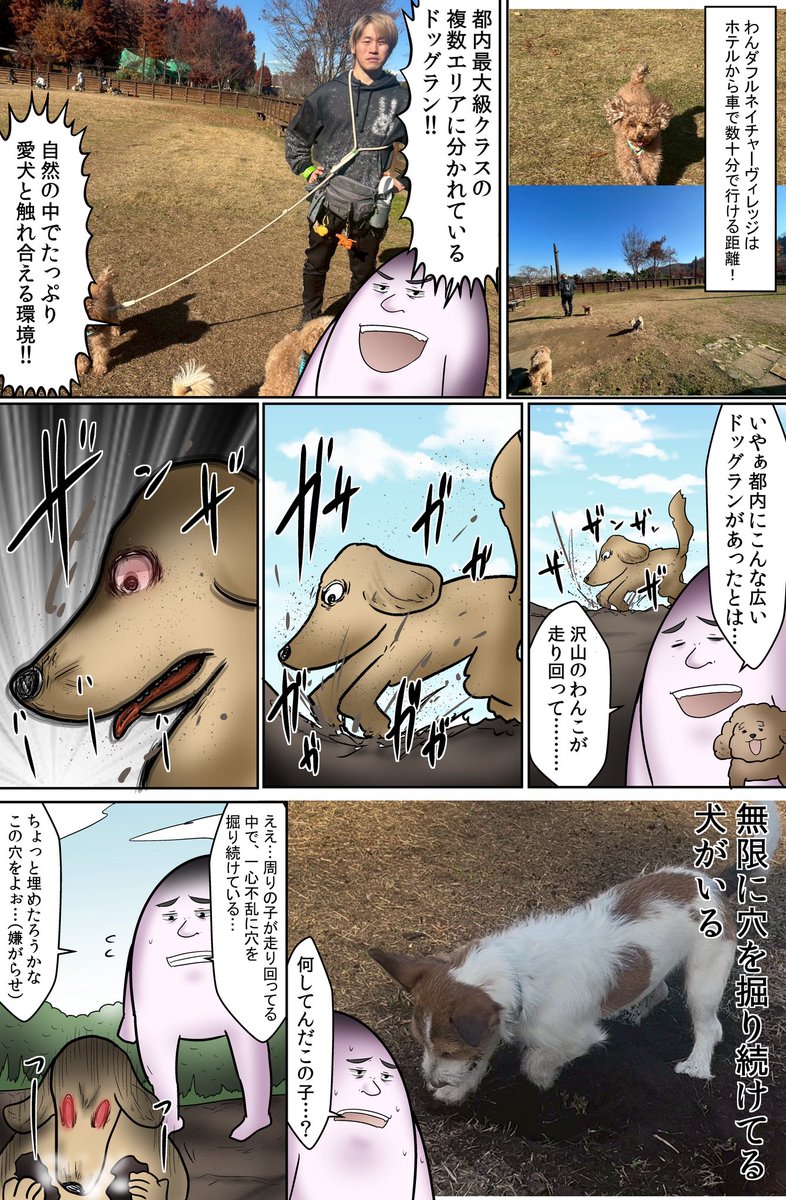 【全国の犬好きへ】犬と一緒に泊まれるホテルってもっと増えてほしいよね (3/3) 