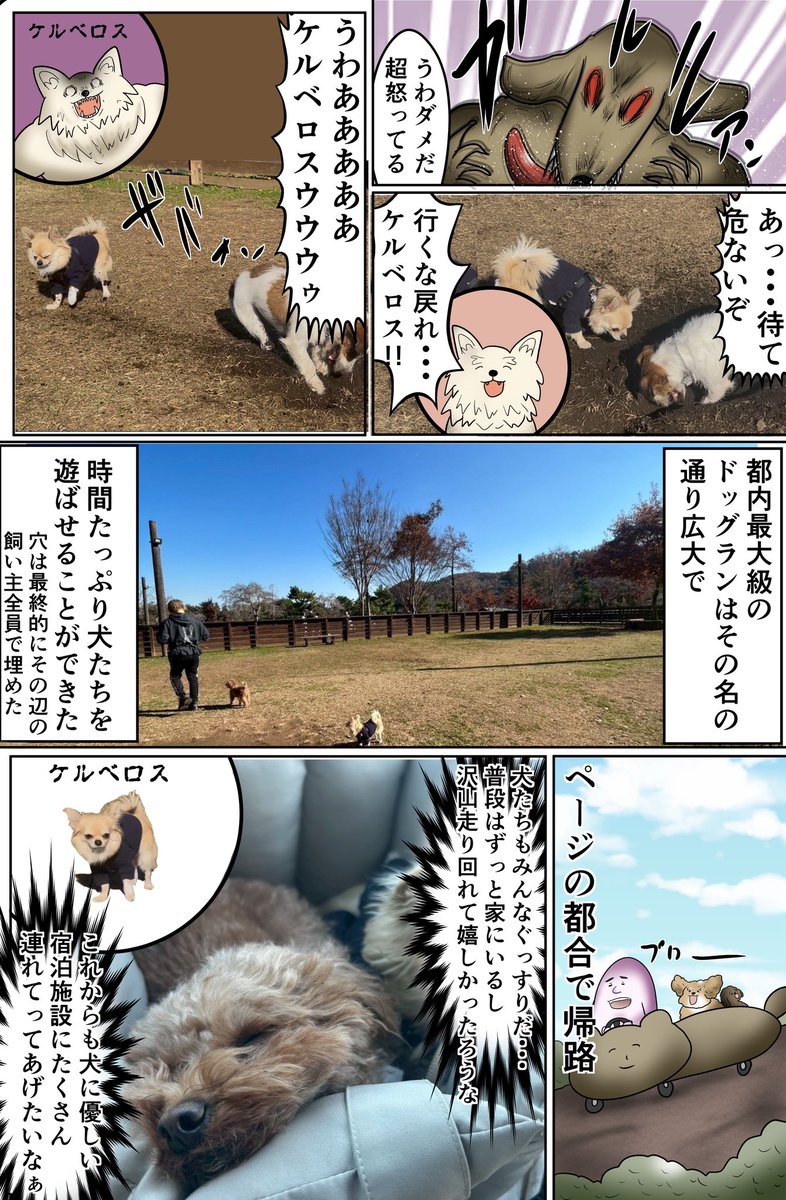 【全国の犬好きへ】犬と一緒に泊まれるホテルってもっと増えてほしいよね (3/3) 