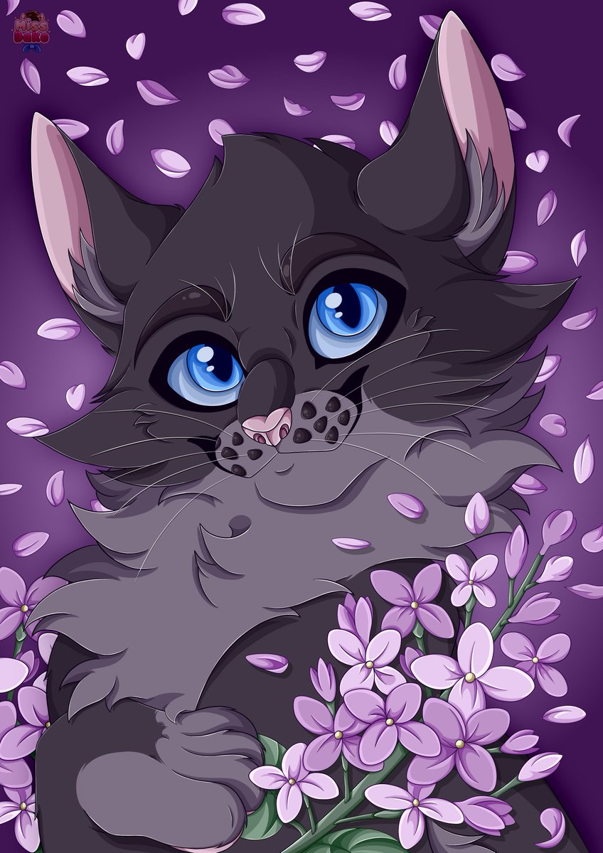 🦊 Miss Dako 🦊 tweet media