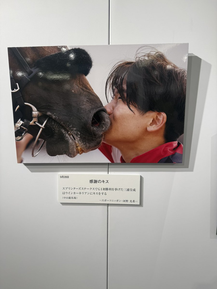 めがてん (@megaten1888) / Posts / X