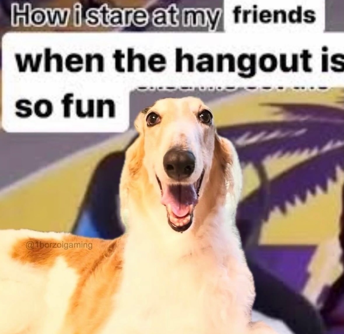 Respectful Memes (@respectfulmemes) on Twitter photo 