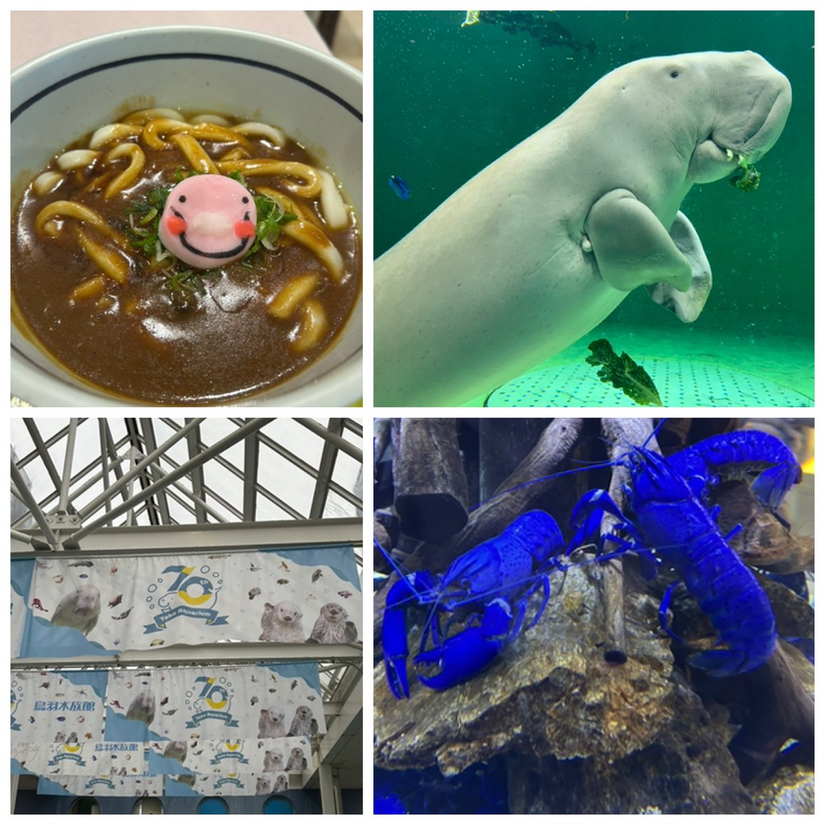 akeju396's tweet photo. 伊勢志��の旅
2025.12.20〜21
#鳥羽水族館 #青いザリガニ #ジュゴン
#ラッコ #ミキモト真珠島 #天の岩戸 https://t.co/qHCP37R8Ir