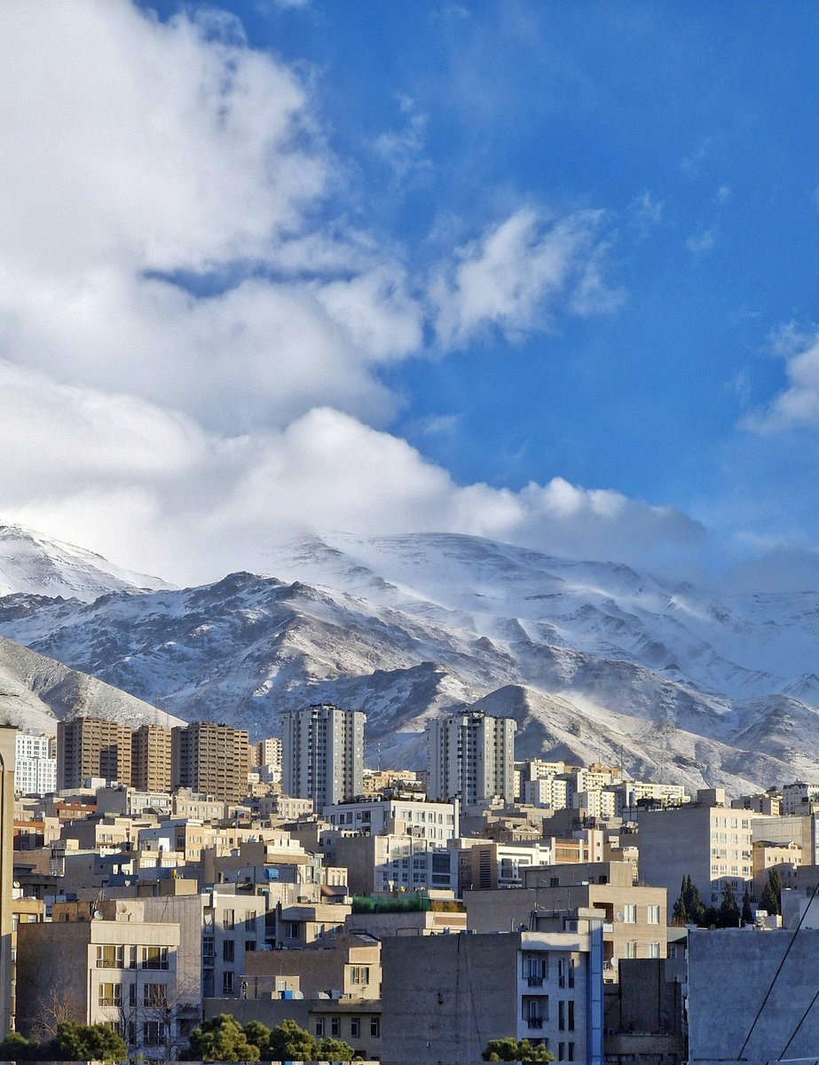 🌳 Hadi tweet media