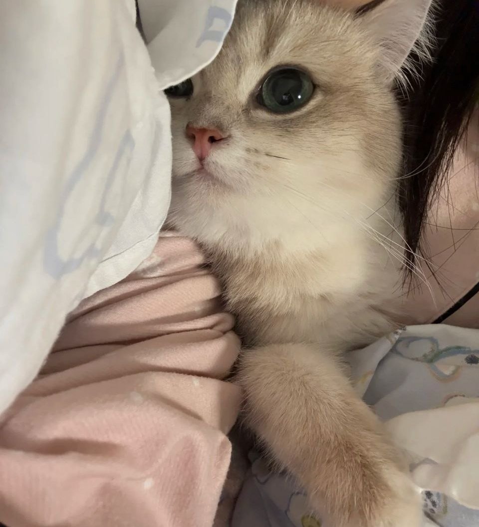 小久久 tweet media