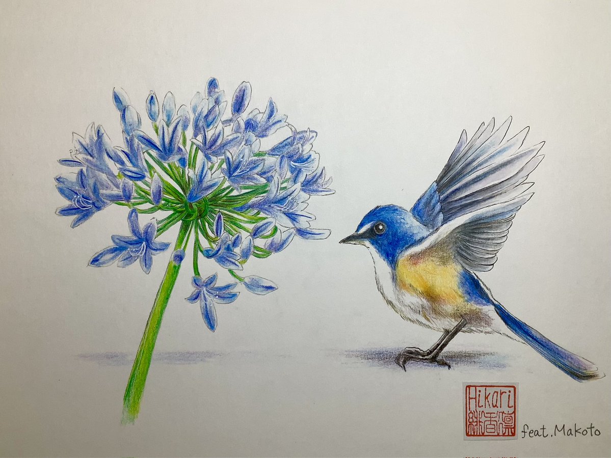 Saint052271 Seiさん、今年も大変お世話になりました。1年間に描いた絵