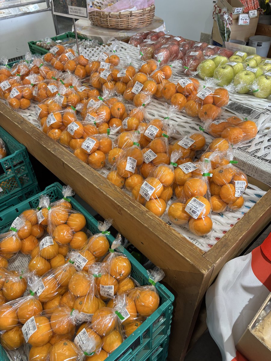 grebe_inzai's tweet photo. 本年度の『のし餅』は完売いたしました

お店は明日も9:00〜15:00で営業いたします！

ネギ、大根、にんじん、ほうれん草、小松菜、みかん、お正月用の切り花はまだまだたくさん並んでいます💐 https://t.co/CVGJDAX0Jv