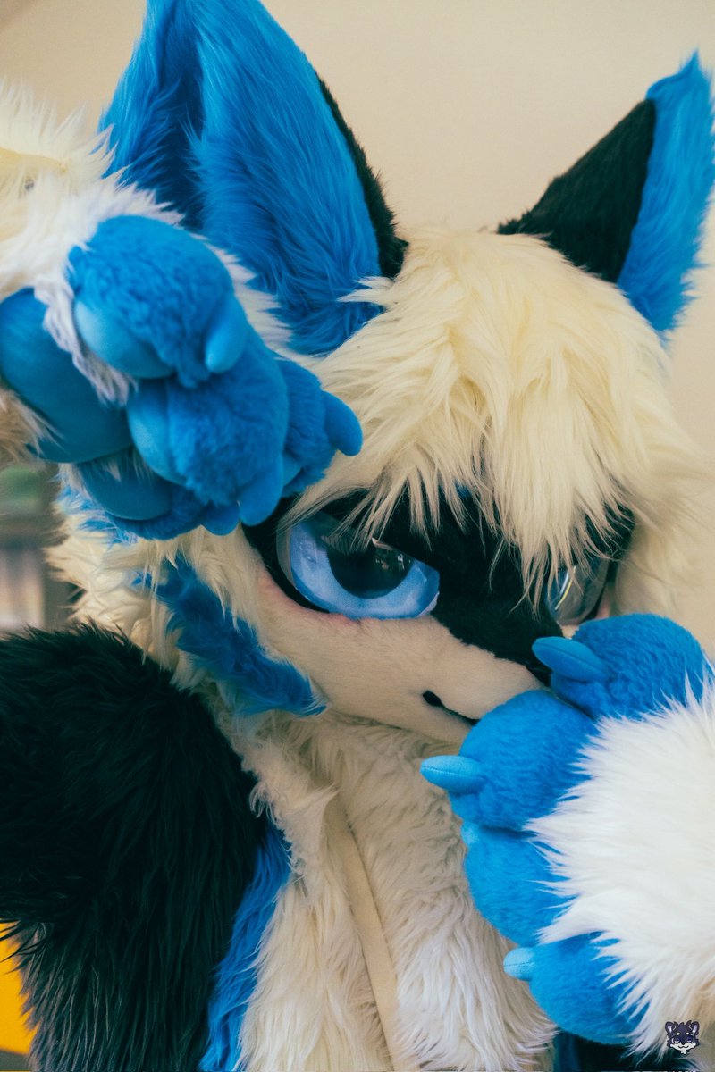 #FursuitFriday 
Straight at me.

📷: 醒