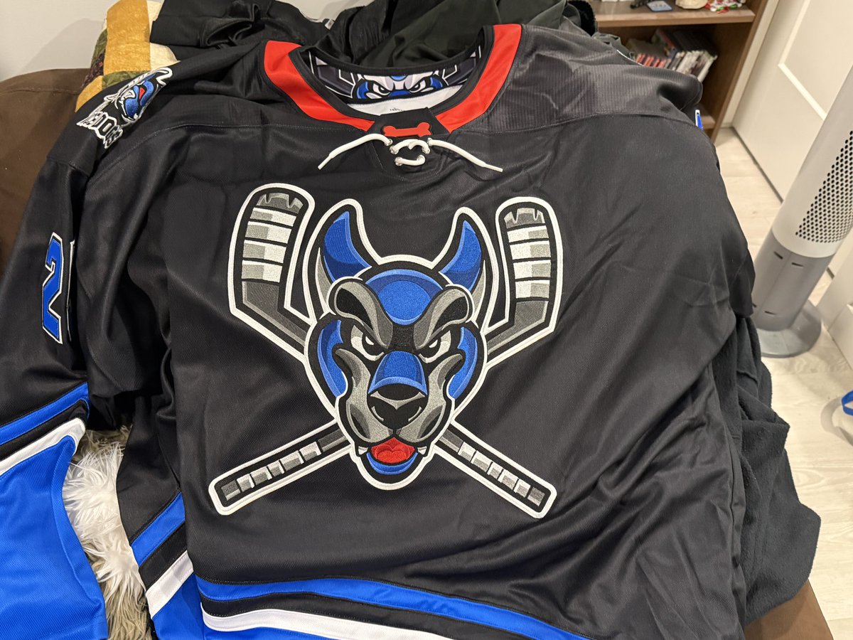 Kuma / Kawi / Ranger 🇨🇦🐶 tweet media