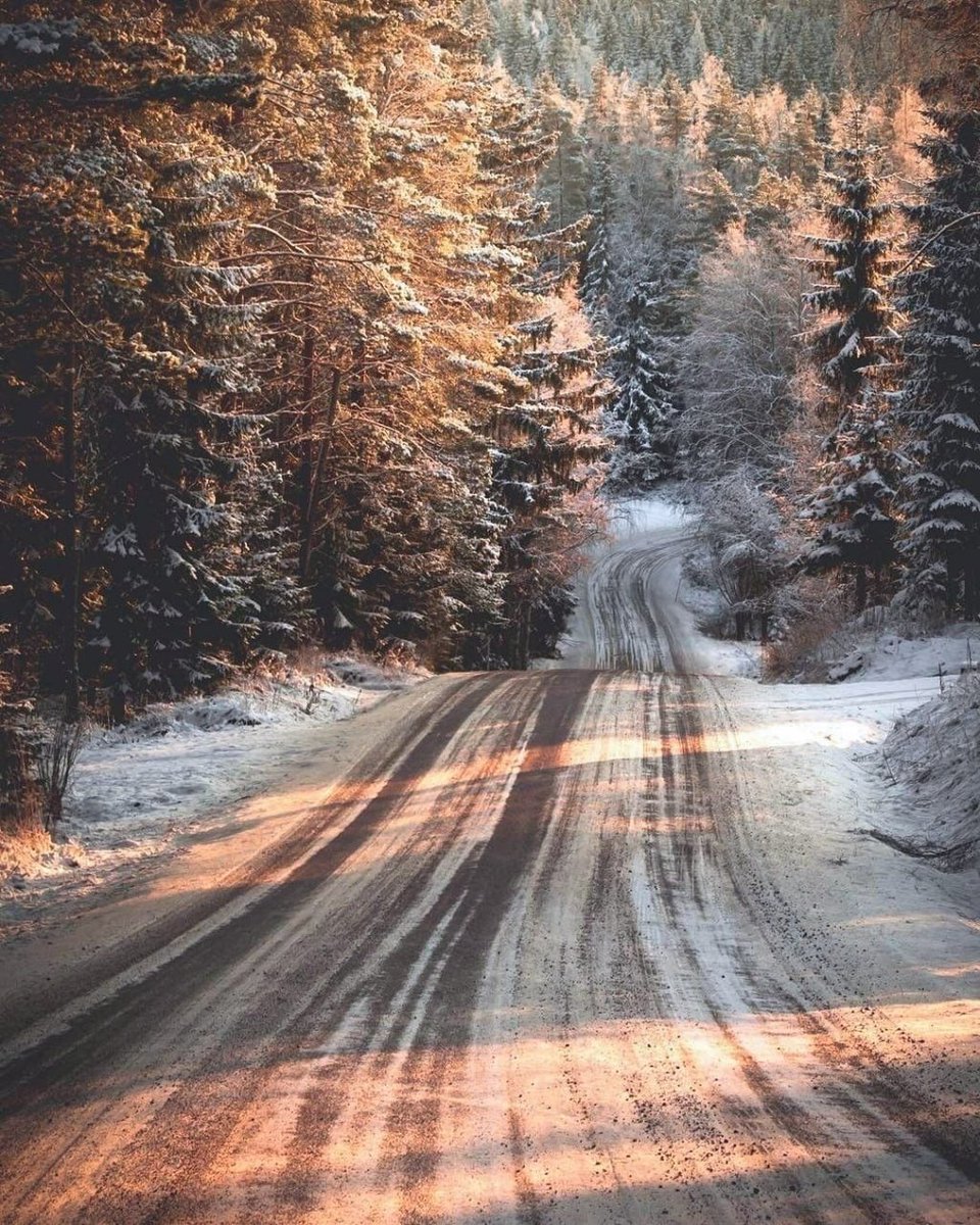 123 (@xetra_a) on Twitter photo 