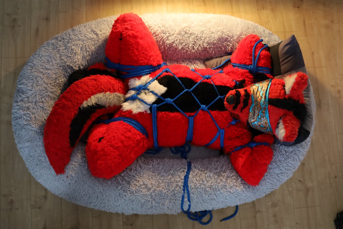 I wish you all a

HAPPY NEW YEAR !!!

Thanks for all the Support and i hope you will also enjoy my Shibari-Art in 2026 ;-)

Fursuiter: <a href="/FuSmoki/">smoki</a> (me)