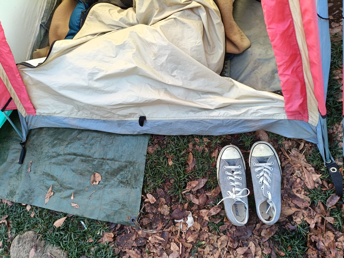 ねる会議 tweet media