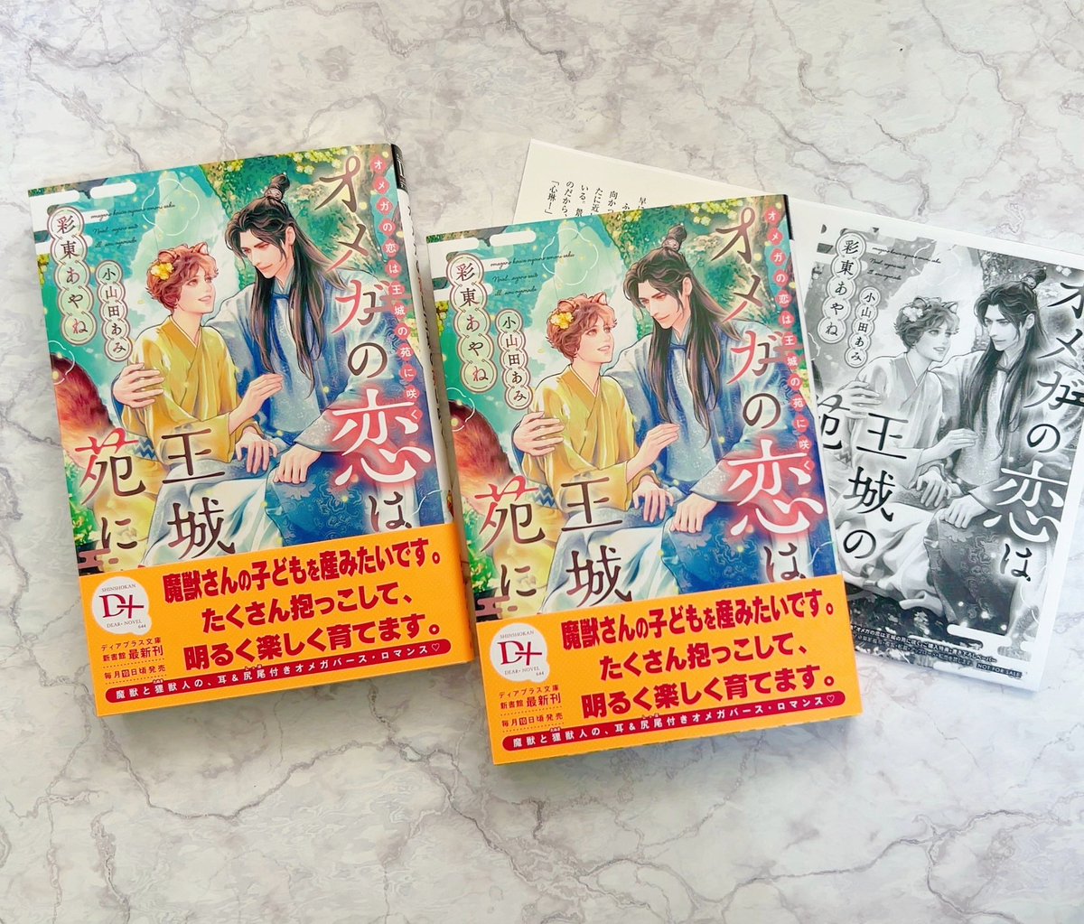 ディアプラス文庫＆ピスタッシュ・ノヴェルス編集部 (@n_dearplus