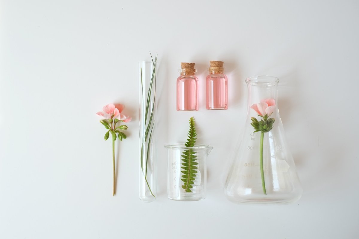 Discover premium natural extracts at Creative Enzymes! From plant &amp; mushroom extracts to fruit &amp; veggie powders — high-quality ingredients for nutrition, cosmetics, pharma &amp; more. ✨ Explore our diverse portfolio today! #NaturalProducts #Extracts creative-enzymes.com/cate/extracts_…