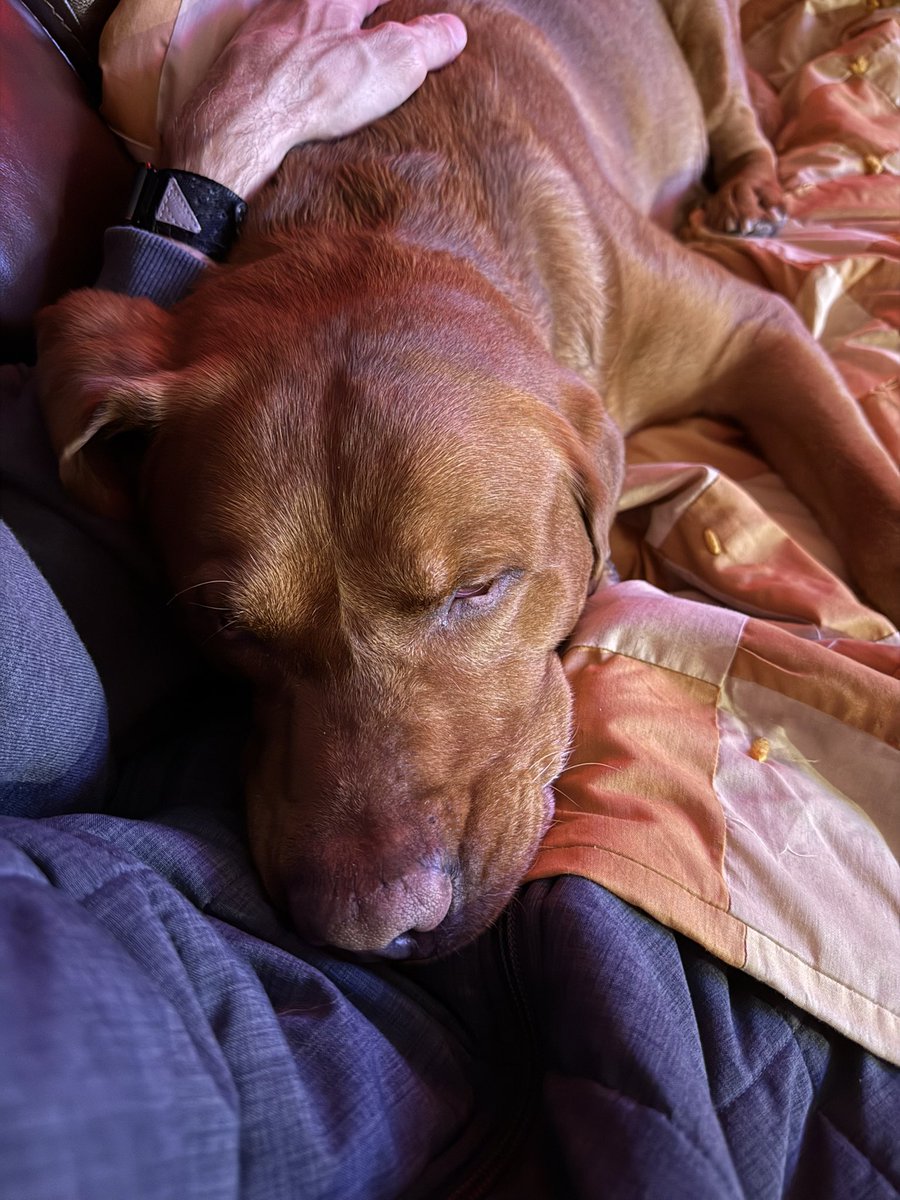 Chad Michael tweet media