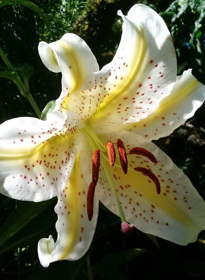 inreuo's tweet image. 