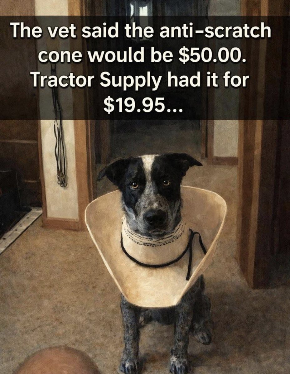 atensnut's tweet image. Goodnight 💤