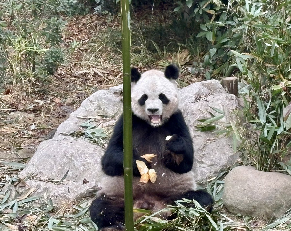 Barry B. tweet media