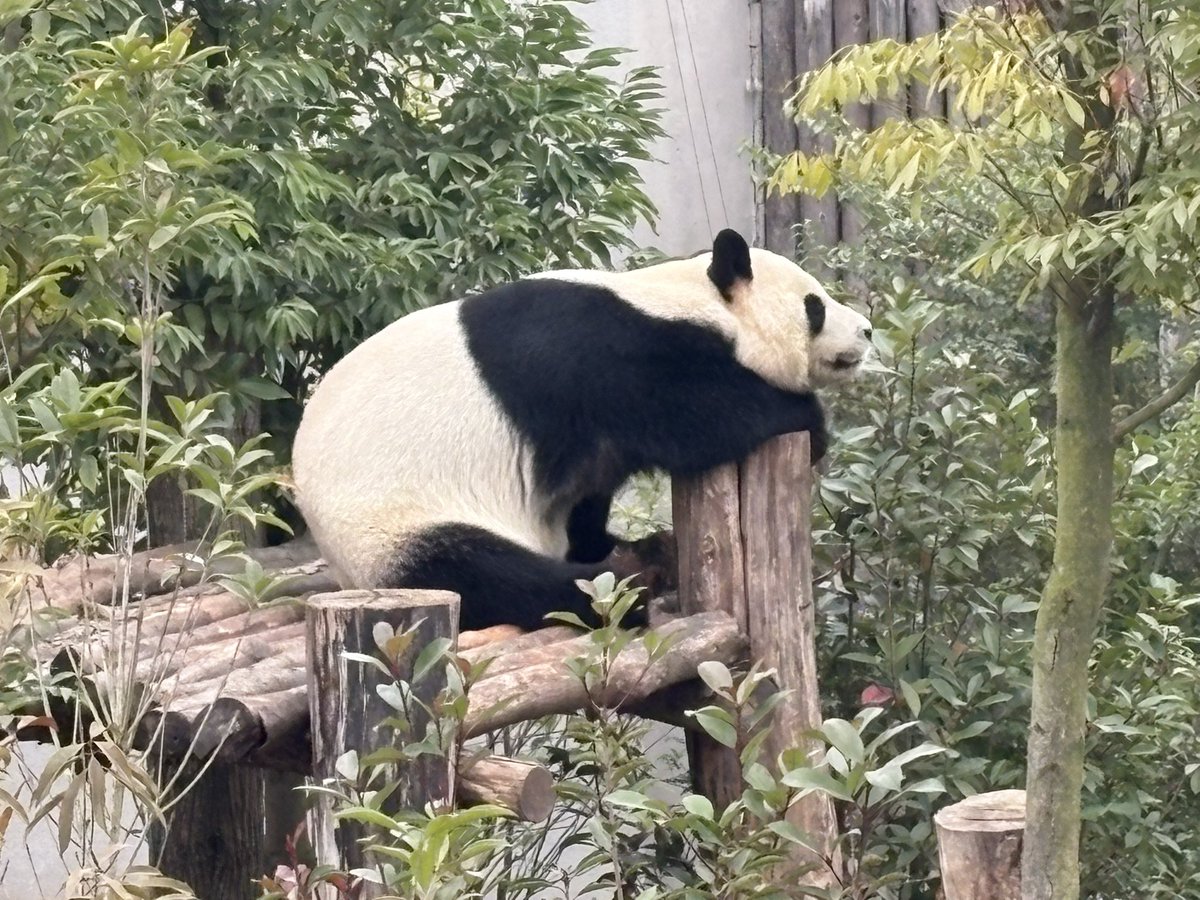 Barry B. tweet media