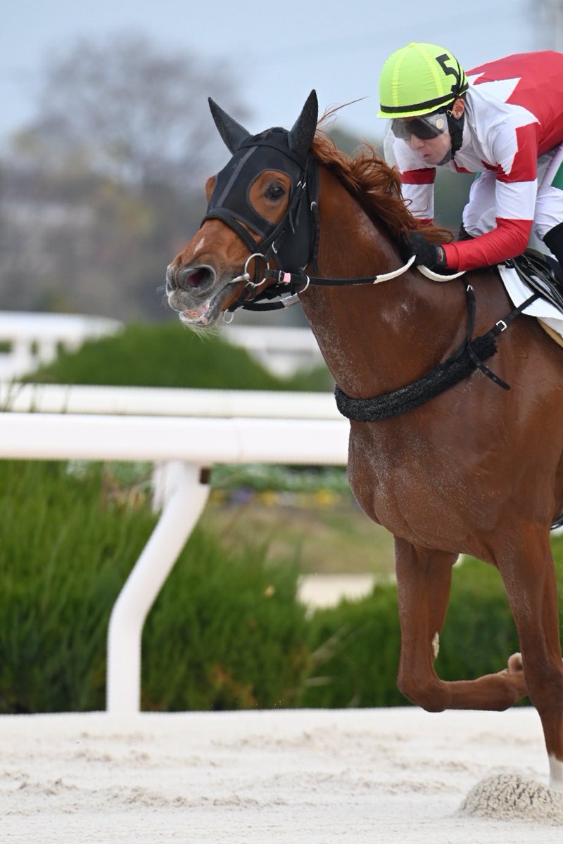 オルフェーヴル