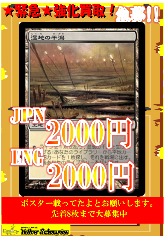乾燥台地 湿地の干潟 霧深い雨林 沸騰する小湖 新緑の地下墓地