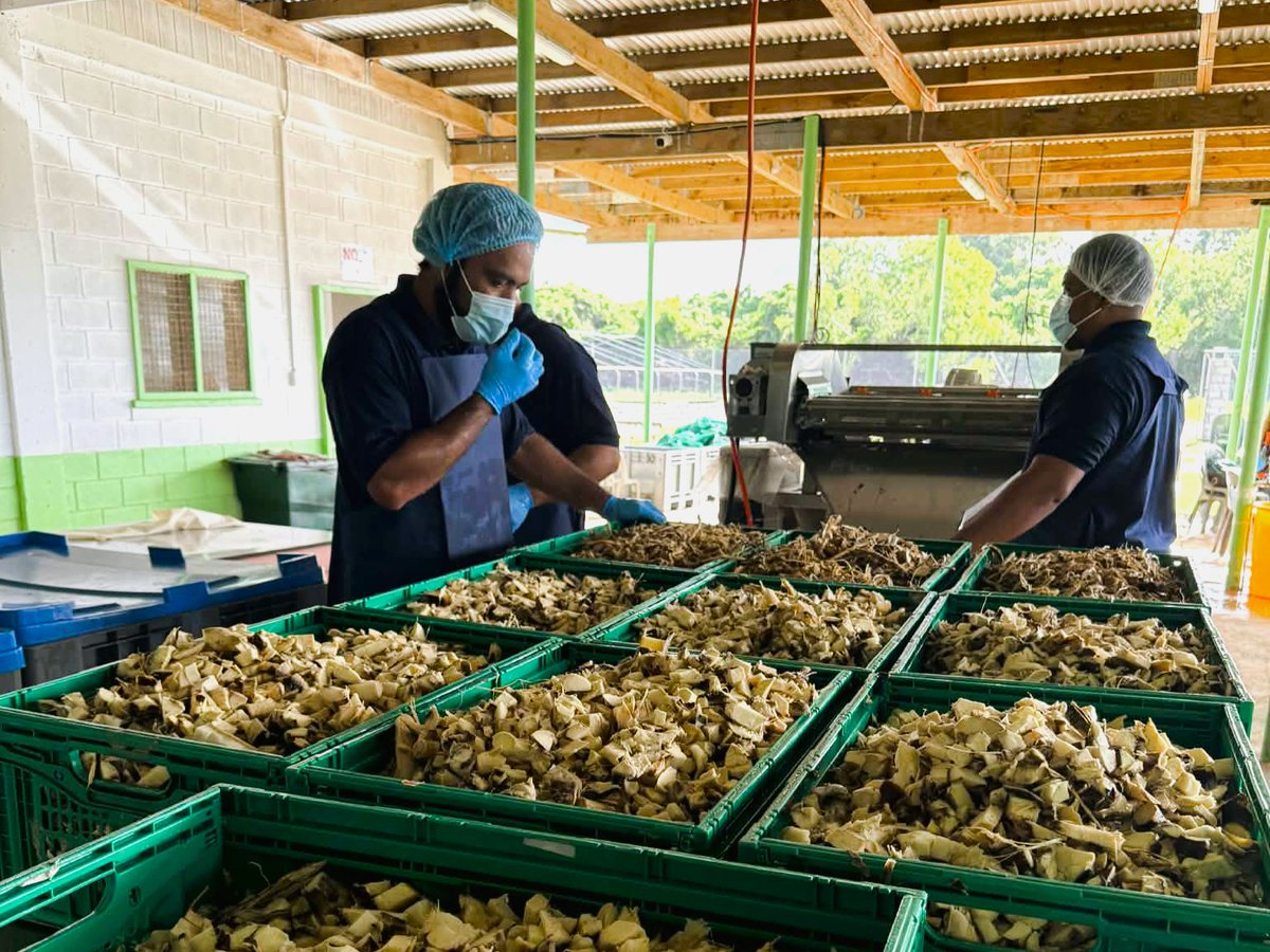 Market Development Facility tweet media