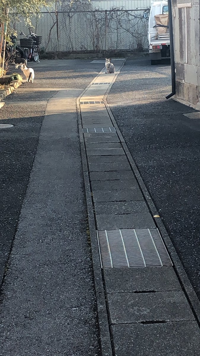 松®️下 (@punks1968) / Posts / X