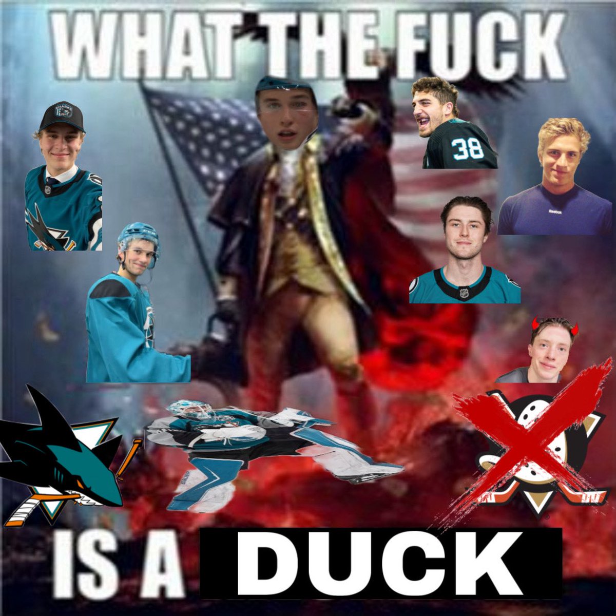 grafcrank's tweet photo. WHAT THE FUCK IS A DUCK https://t.co/Um5gGyTaC4