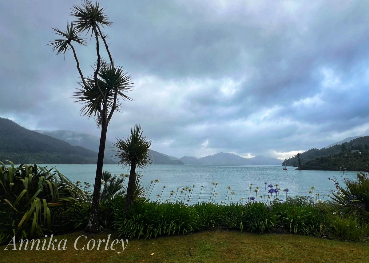 annikakes's tweet photo. Suffering through this view for the next 6 days. #MahauSound #NZHellhole @WeatherWatchNZ https://t.co/yzRUrHCC5d