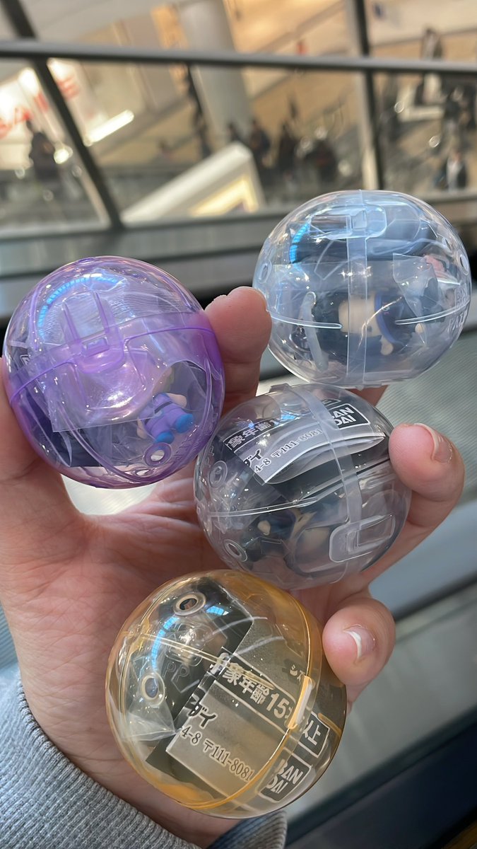 Sunbloom02 tweet media