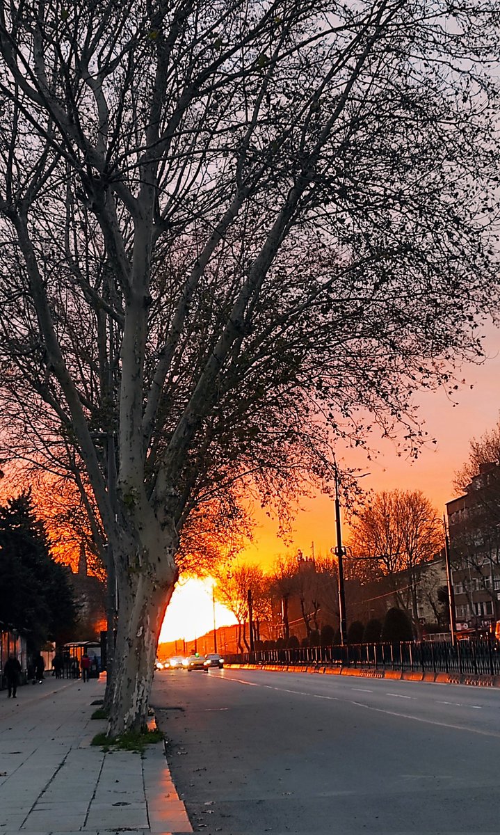 Günaydın ben ışığa doğru gidiyorum gelen gelsin.