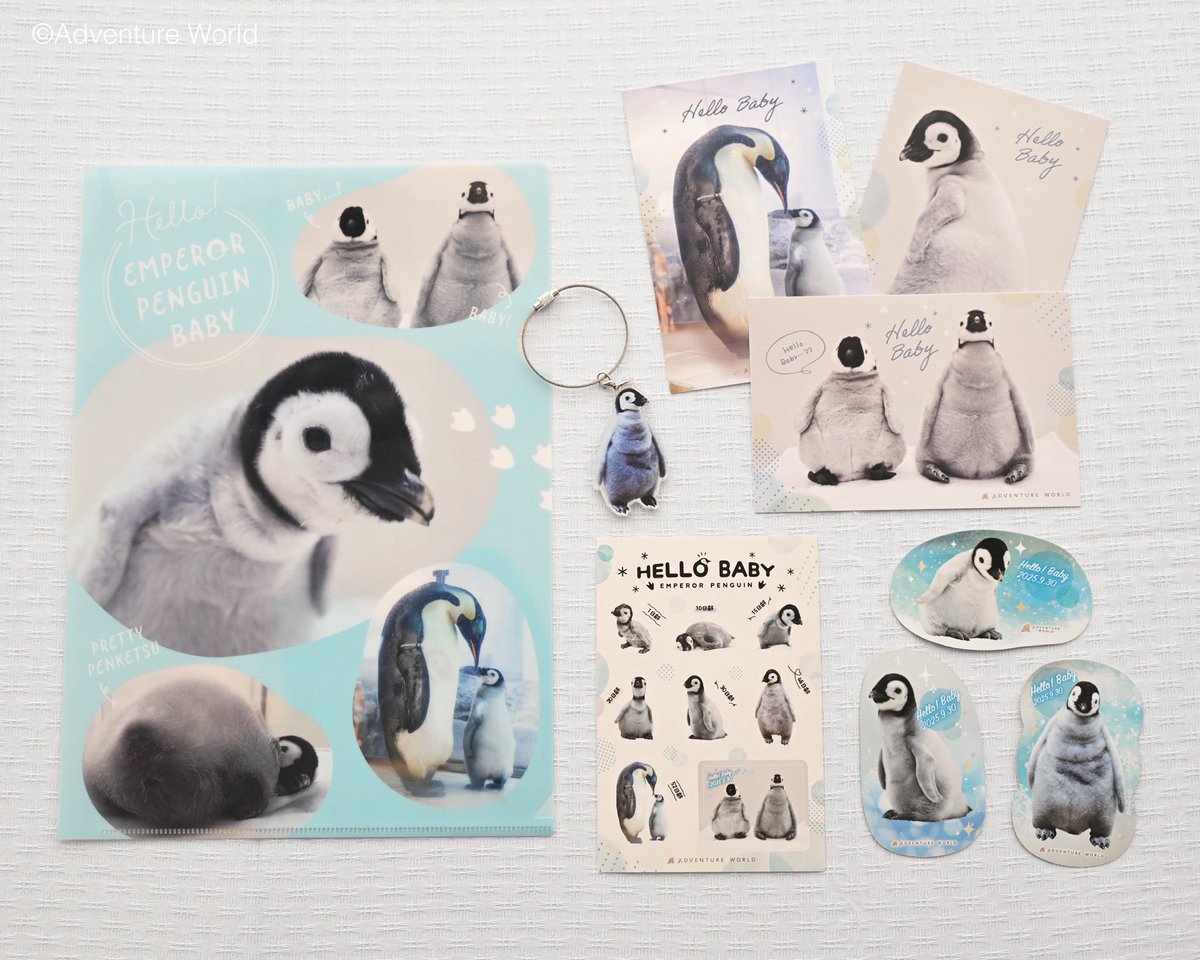🐧🎉✨ 祝・3か月！エンペラーペンギンの赤ちゃん新商品販売スタート
